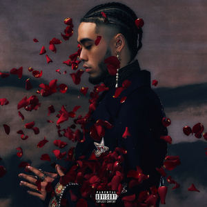 91精品无码㊙️瑜伽
