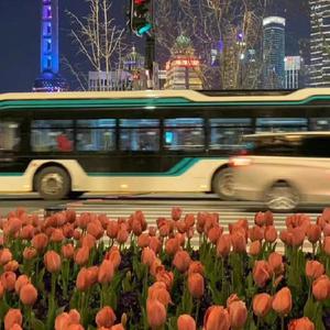 班花好紧我要进来了
